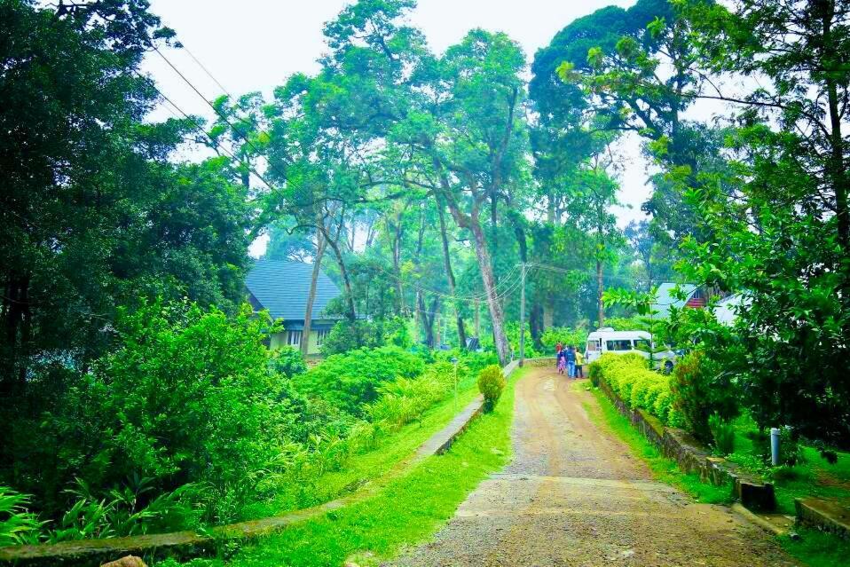 Munnar Tea Estate Cottage And Resort - Away From City Hustle Екстериор снимка